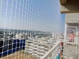 Pigeon Safety Nets in Basavanagudi