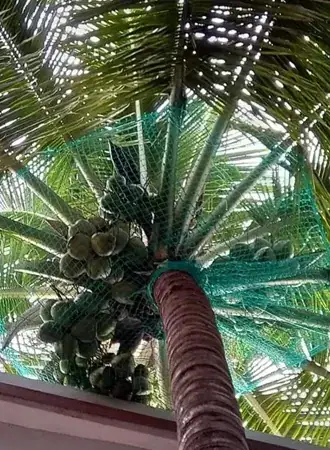 Best safety Nets In Bangalore
