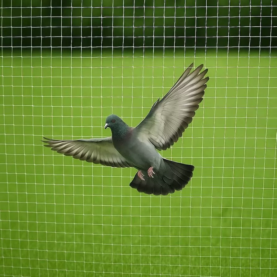 Pigeon Net Installation in Bangalore