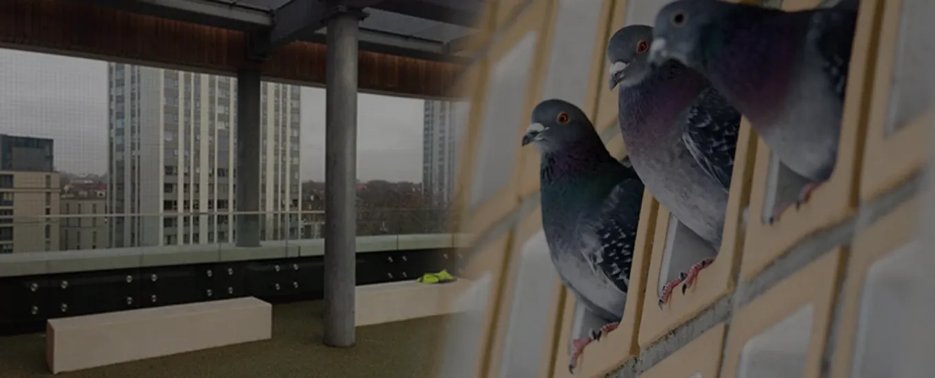 Balcony Safety Nets Page Banner